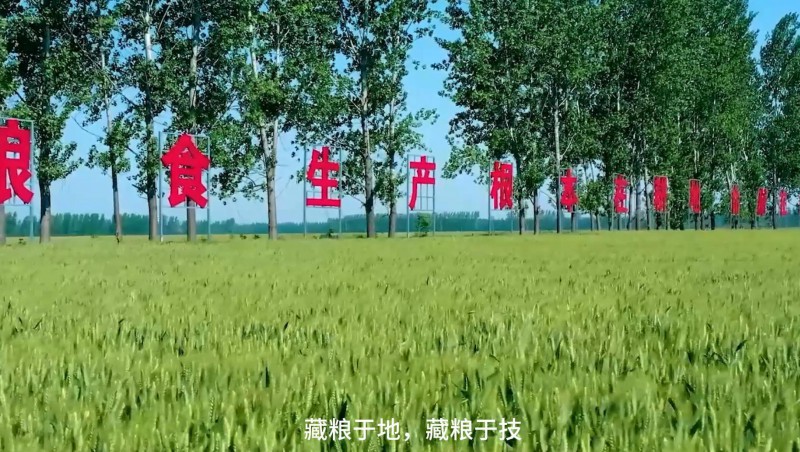 J9集团节水：破解高尺度农田建设难题，扛牢粮食安全沉担，以科技与责任交出了一份创新答卷。